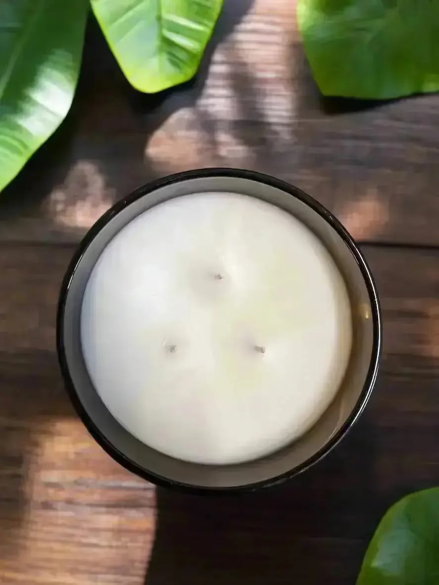Three-wick luxury candle by The InnerCandescent Co with coconut apricot wax in a luminous, elegant glass container.