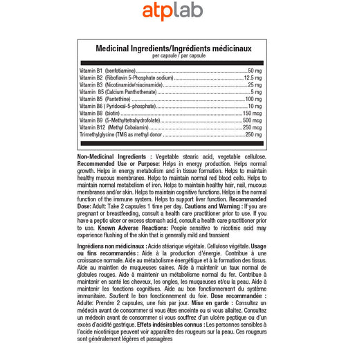ATP Lab METHYL SYNER-B, 60 VCaps