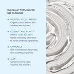 Alumier Purifying Gel Cleanser