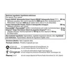Youtheory ASHWAGANDHA+ WITH GABA, 60 VCaps
