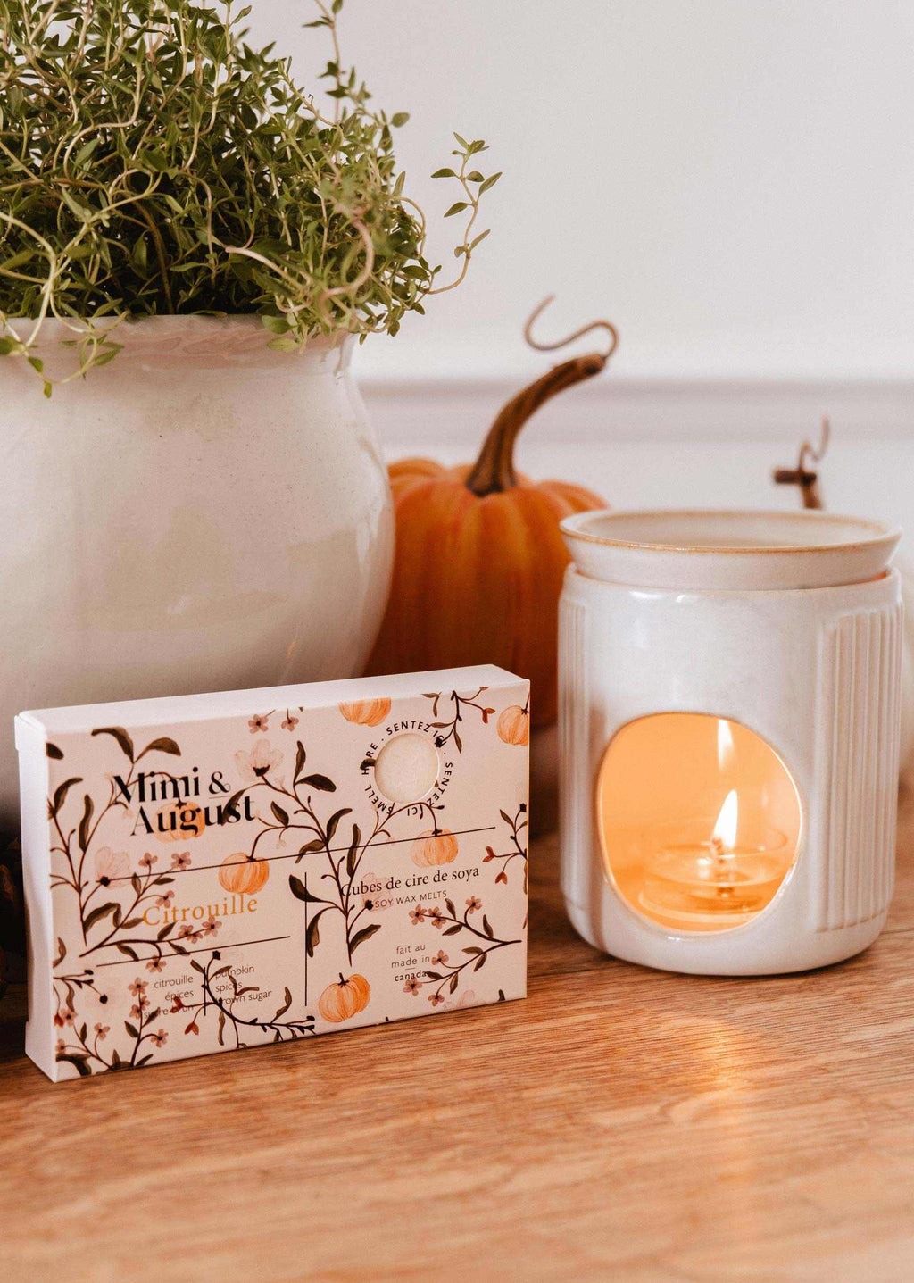 Soy wax melts in pumpkin scent by Mimi & August, featuring orange and black tart shapes, perfect for cozy autumn ambiance.