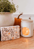 Soy wax melts in pumpkin scent by Mimi & August, featuring orange and black tart shapes, perfect for cozy autumn ambiance.