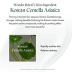 Lakinza K-beauty Purito Wonder Releaf Centella Mini Kit trial skincare set with soothing centella products in sample sizes