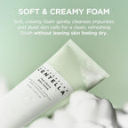 SKIN1004 Madagascar Centella Tea-Trica BHA Foam cleanser by Lakinza K-beauty, 125ml, foaming facial cleanser with centella and tea tree extract.